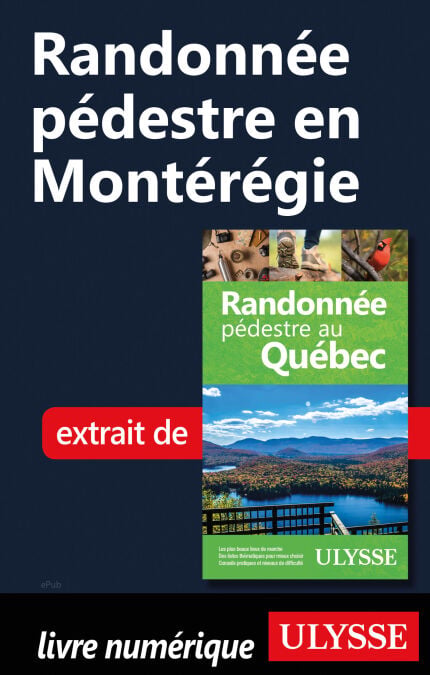 media/pim/15_625f88e2-ba77-467e-9886-9c25ead42e18.jpeg
