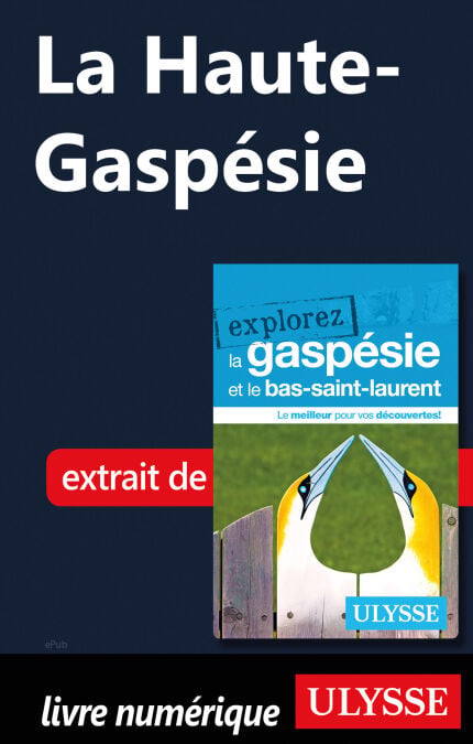 media/pim/15_774dda7e-5166-40e3-a31e-2043a34486f7.jpeg