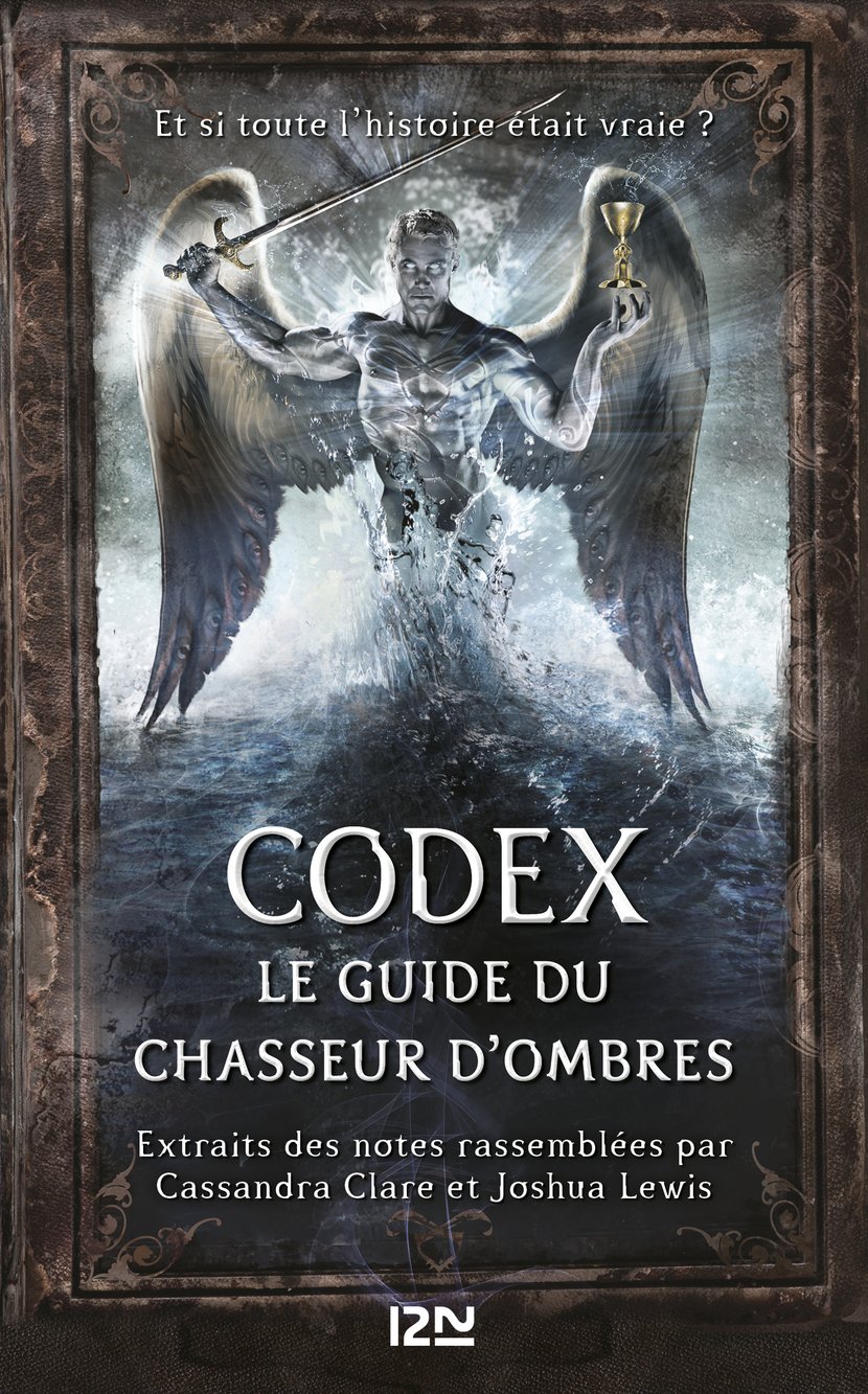 Codex le guide du Chasseur d ombres 9782823811247 Ebook