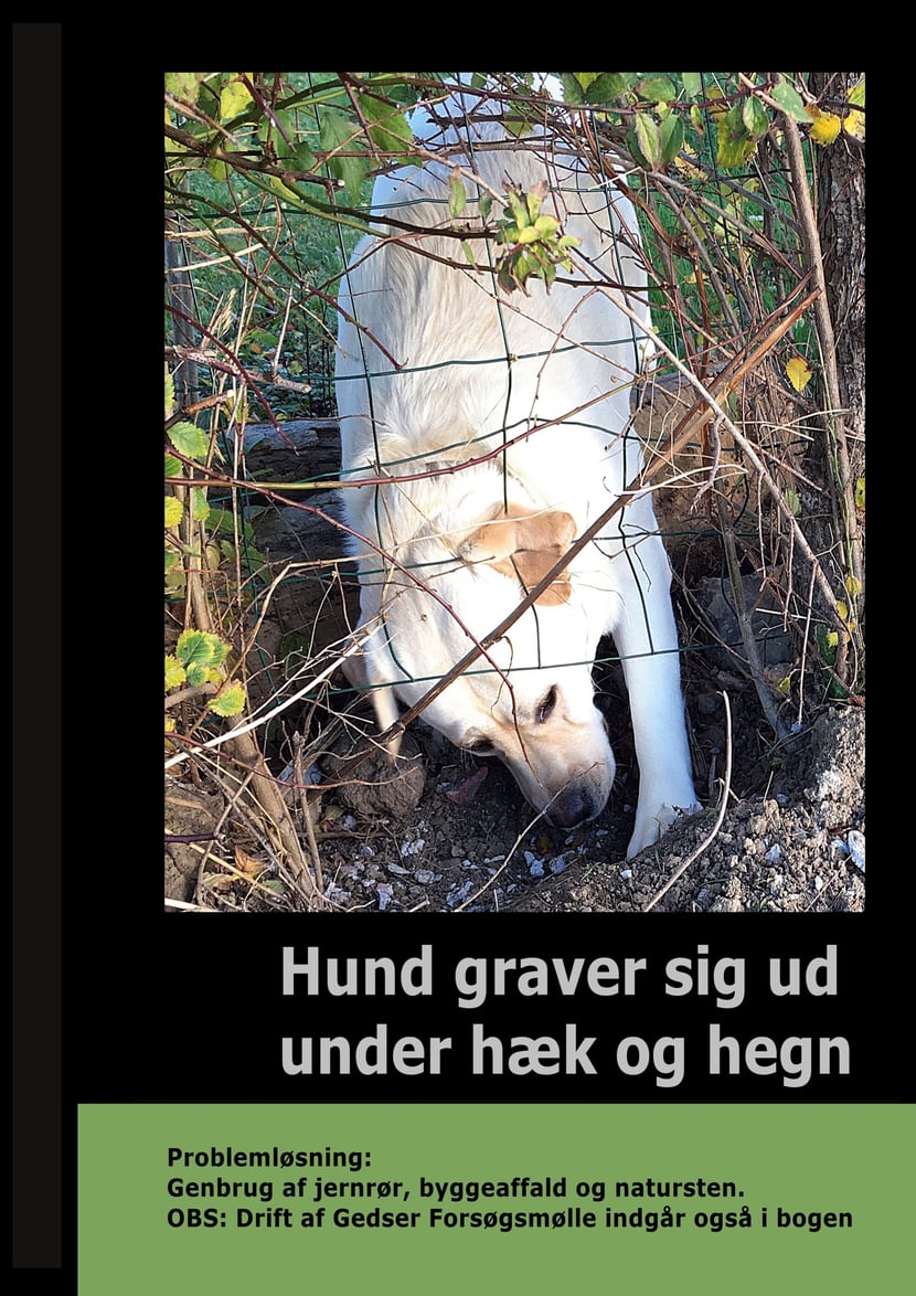 media/pim/15_metadata-image-45749085.jpeg