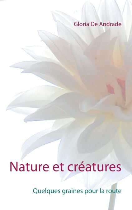 media/pim/15_metadata-image-70918097.jpeg
