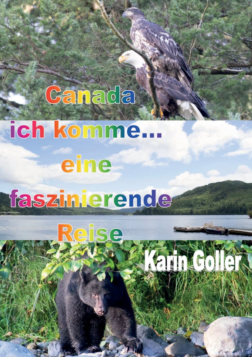 media/pim/15_metadata-image-70963701.jpeg