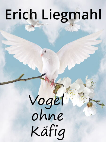 media/pim/15_metadata-image-71059256.jpeg