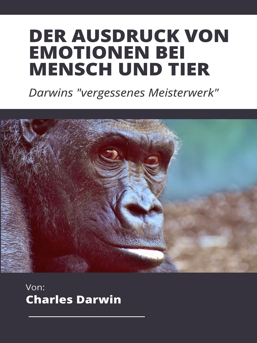 media/pim/15_metadata-image-71061649.jpeg