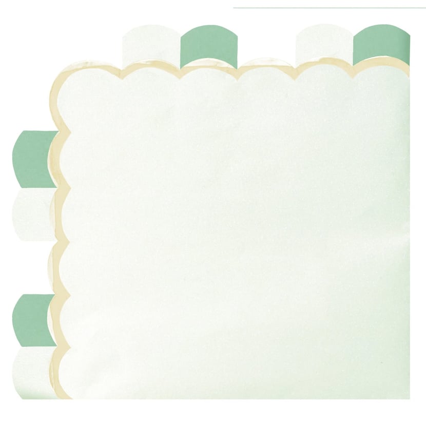 media/pim/16-serviettes-vert-pastel-33x33cm-3700393666971_0.jpg