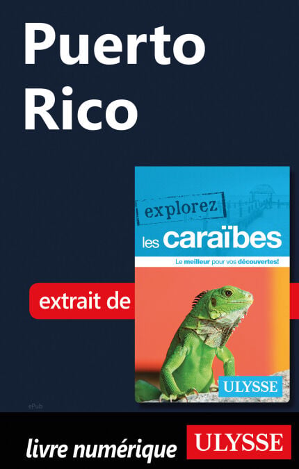 media/pim/16_4d2f55a4-b6e1-492f-ab73-f41f0de9ef9b.jpeg
