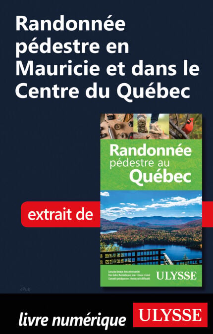 media/pim/16_f823c7c6-4d19-4a9a-8886-10ae5dfe3d82.jpeg