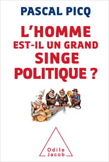 media/pim/16_metadata-image-35089375.jpeg