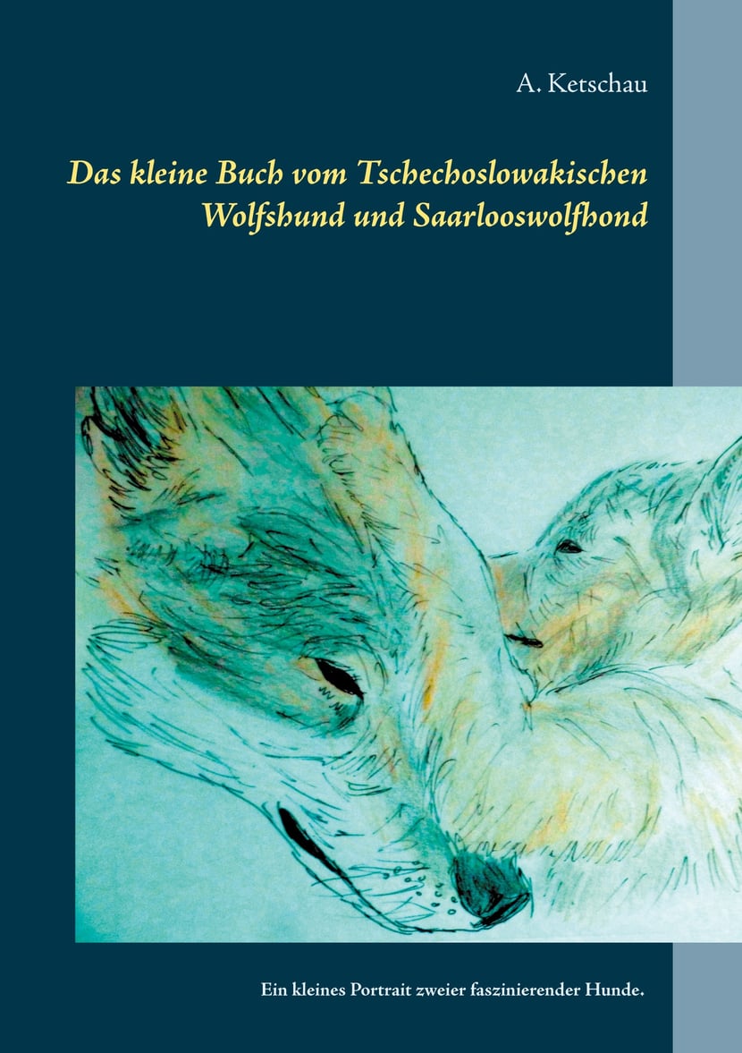 media/pim/16_metadata-image-41514144.jpeg