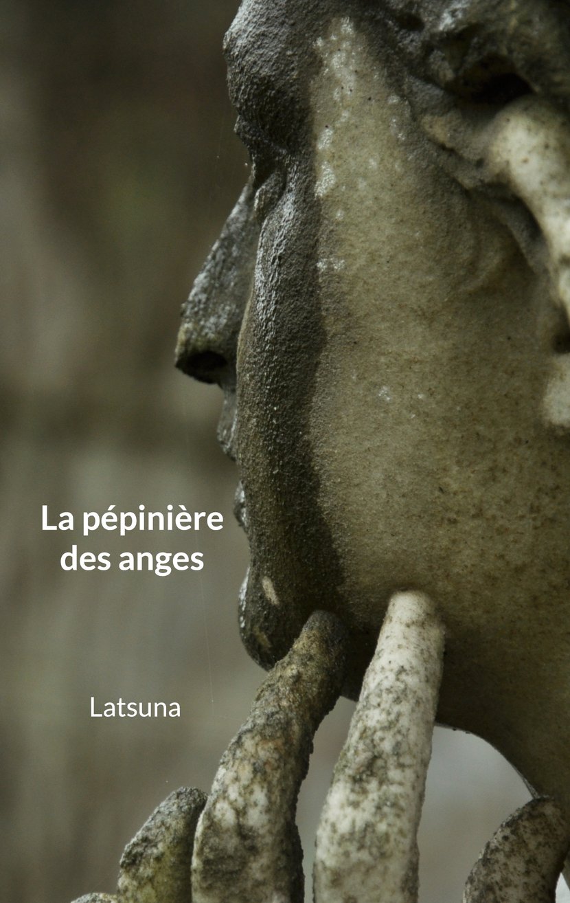 media/pim/16_metadata-image-62608506.jpeg