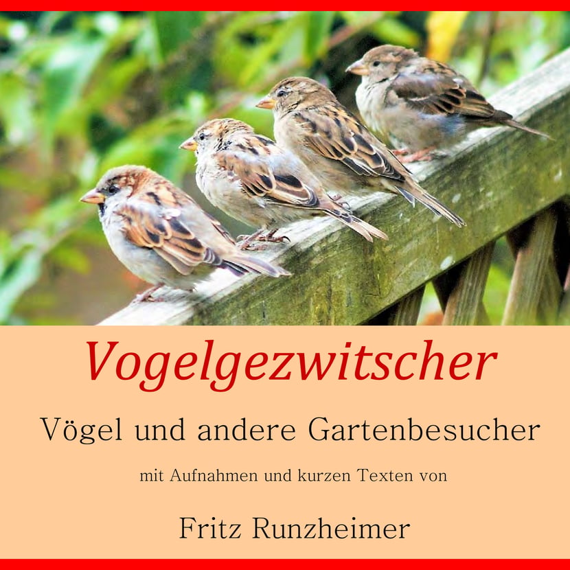media/pim/16_metadata-image-70960189.jpeg