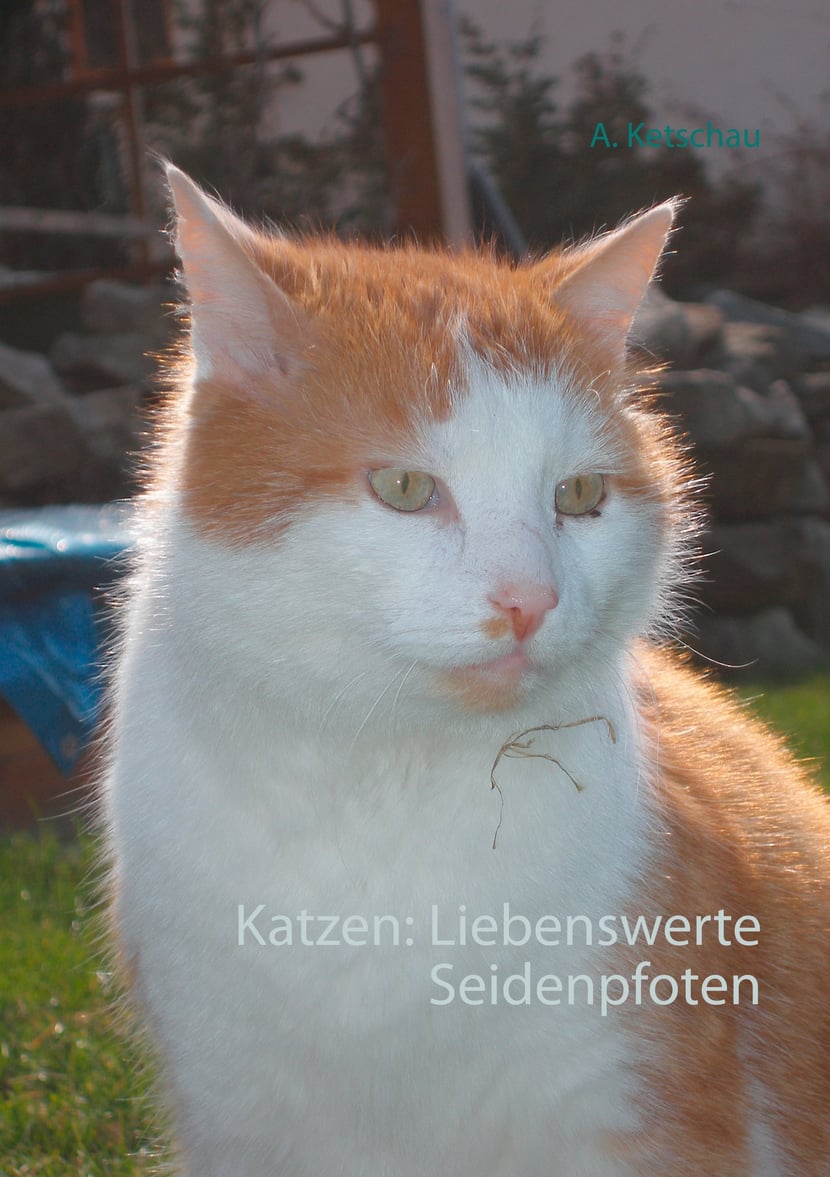 media/pim/16_metadata-image-70979056.jpeg