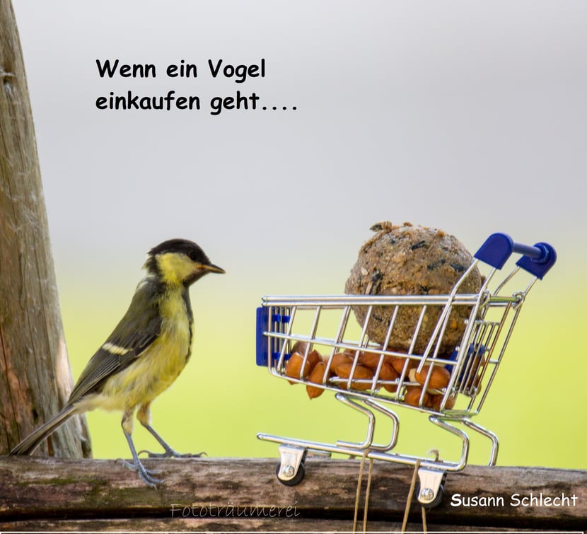 media/pim/16_metadata-image-71035587.jpeg