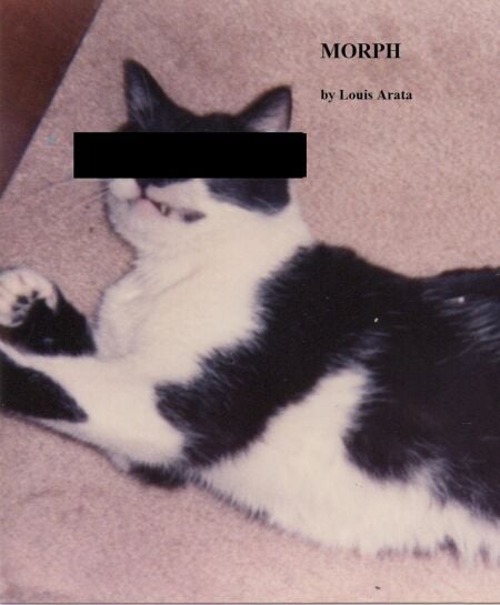 media/pim/17_6d261efd-acfb-4a2a-bb48-dc1ba8be0ba1.jpeg