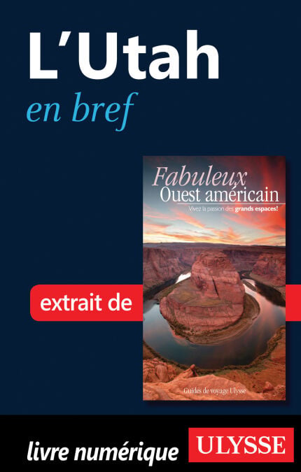 media/pim/17_a3aebd34-3afd-4029-9018-af5000c8a41b.jpeg