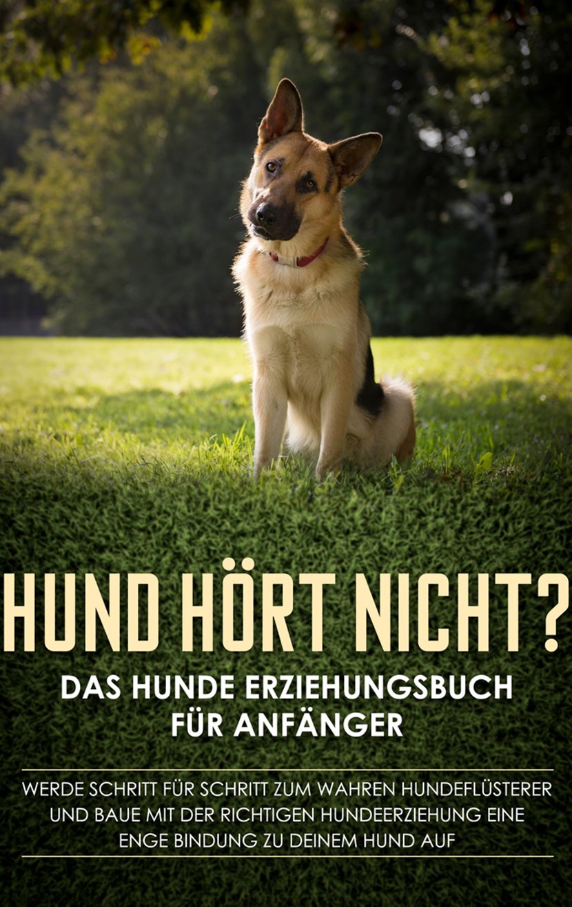 media/pim/17_metadata-image-38209669.jpeg