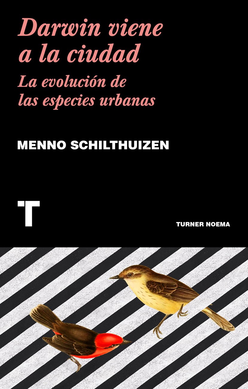 media/pim/17_metadata-image-67231022.jpeg