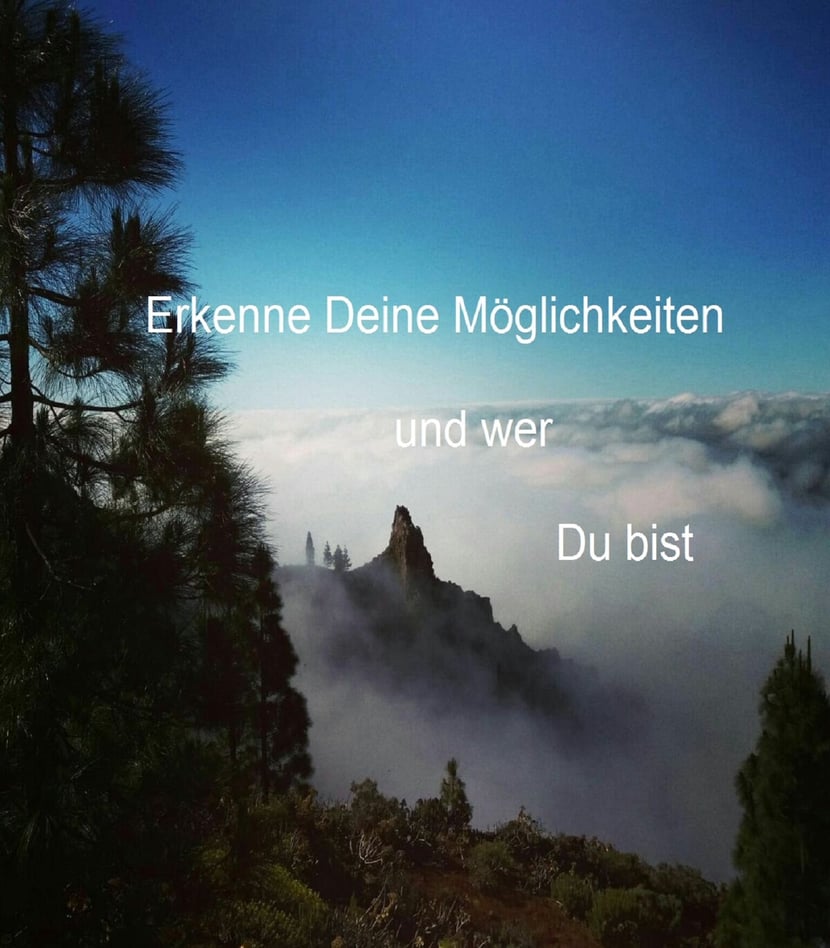 media/pim/17_metadata-image-70966165.jpeg