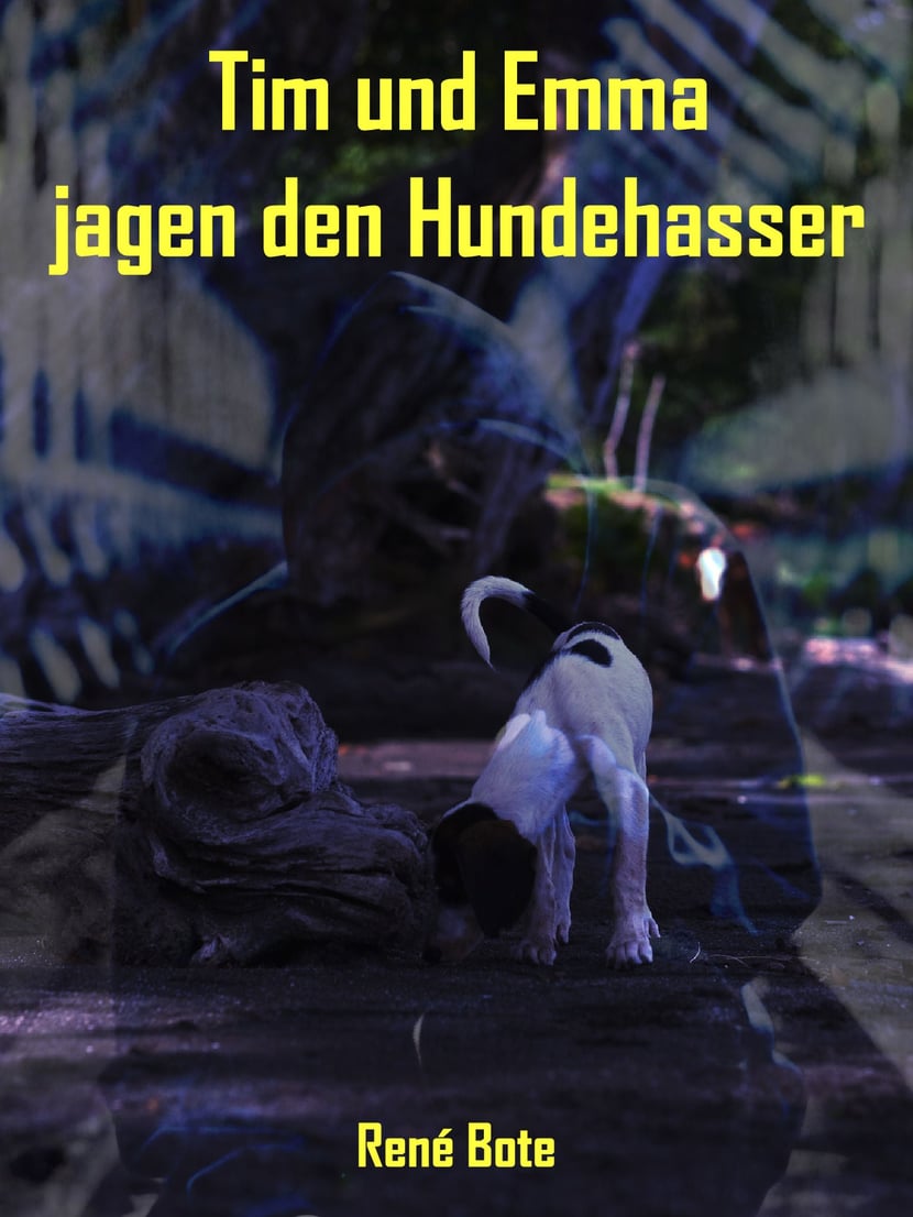 media/pim/17_metadata-image-70971052.jpeg
