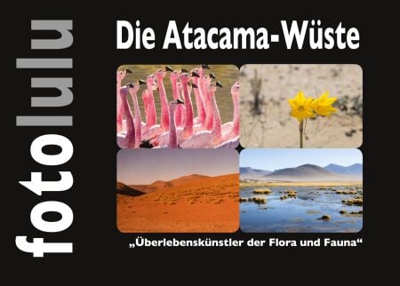 media/pim/17_metadata-image-77303402.jpeg