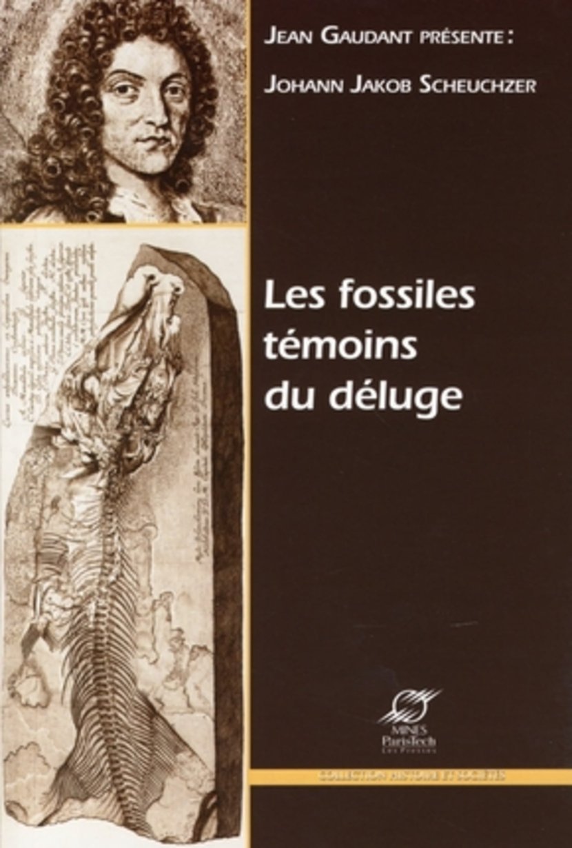 media/pim/17_metadata-image-9047753.jpeg