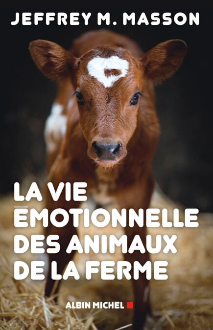 media/pim/18_8593fb63-c553-44dd-a4bb-7ff7260db967.jpeg