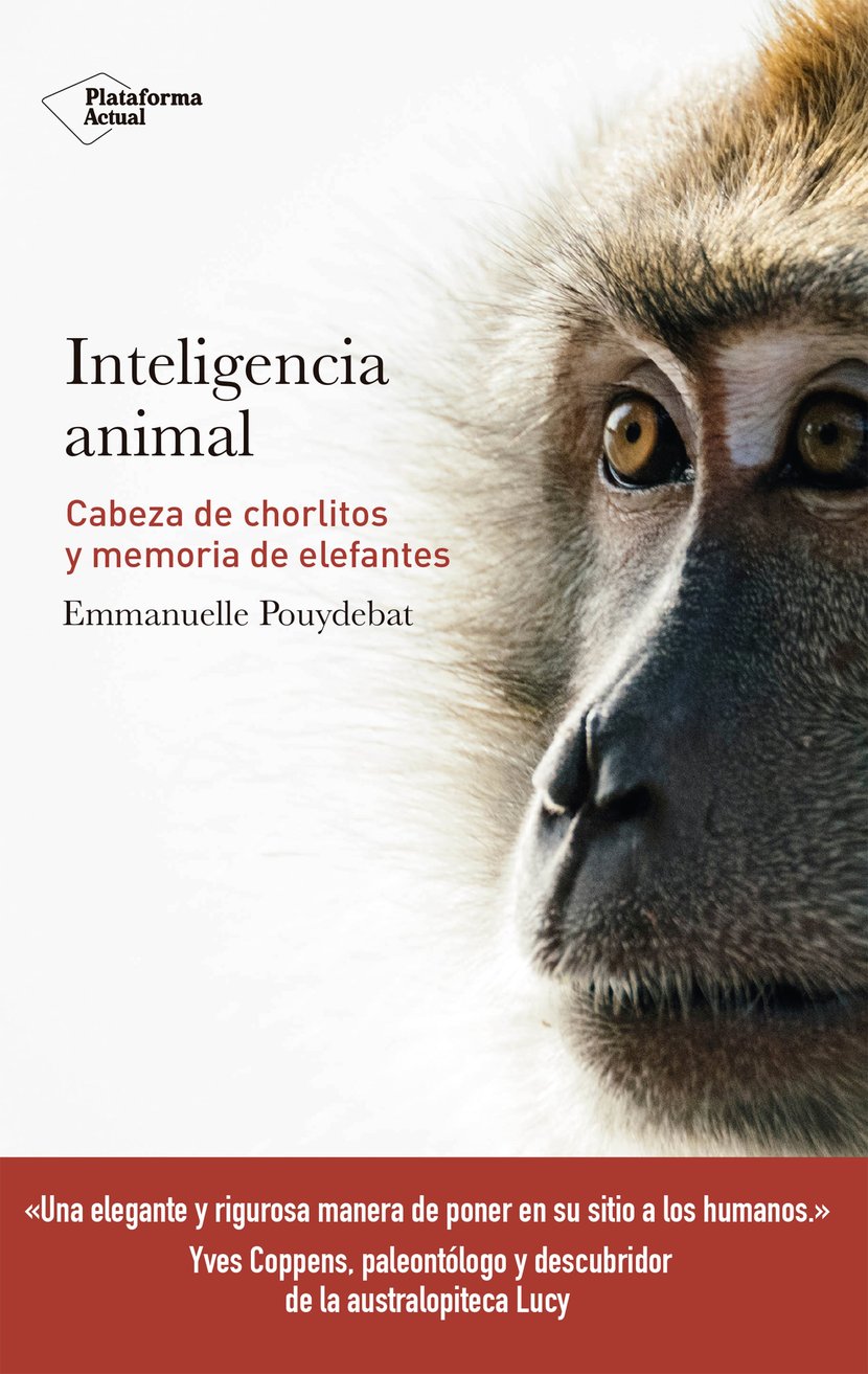 media/pim/18_metadata-image-67274773.jpeg