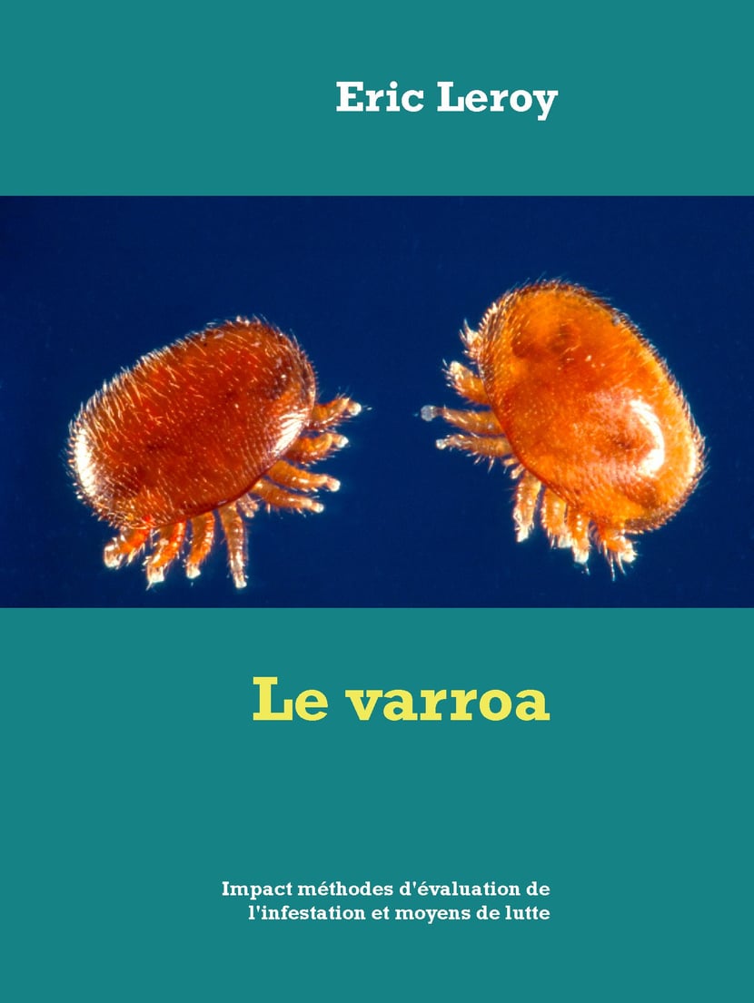 media/pim/18_metadata-image-70919053.jpeg