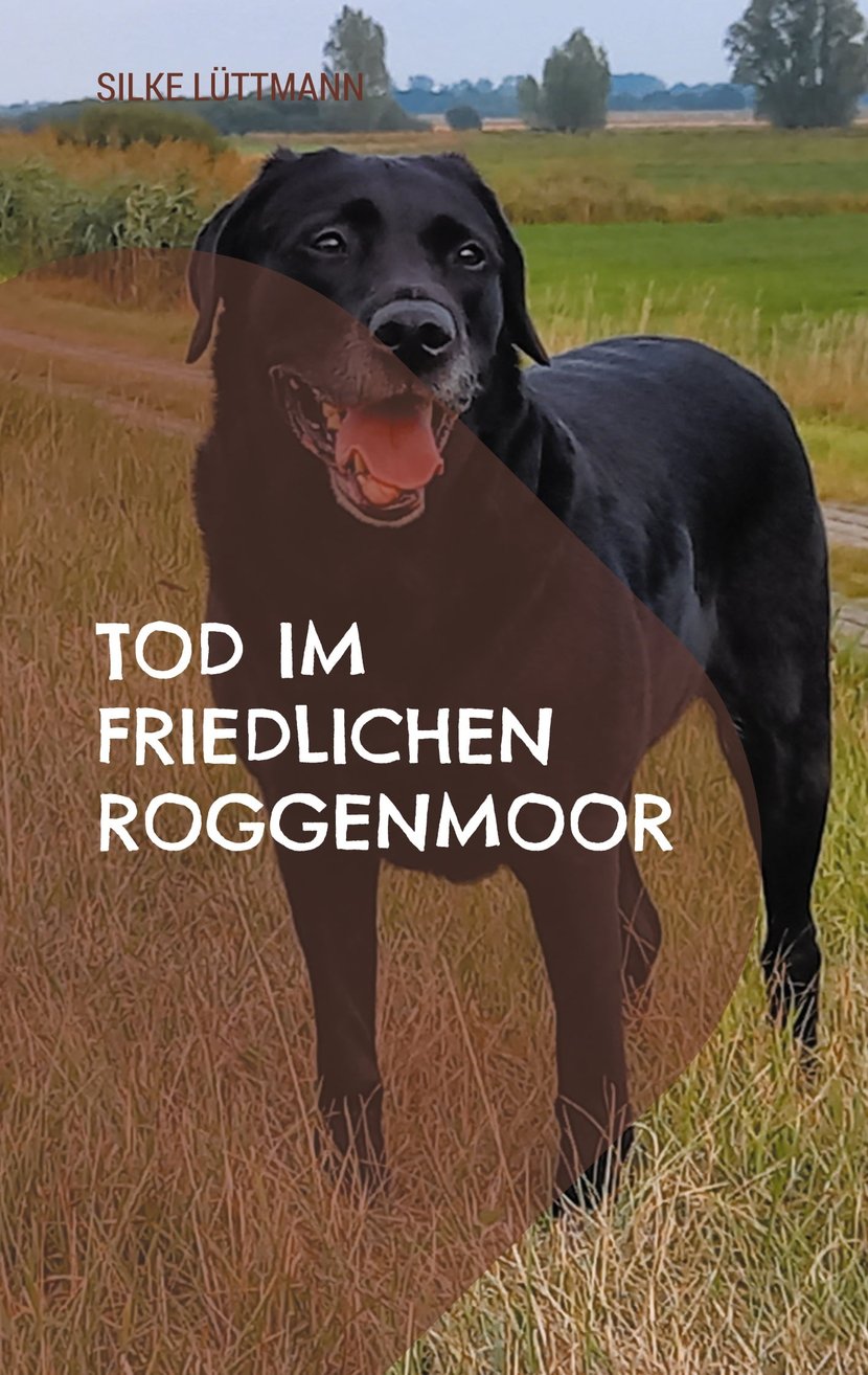media/pim/18_metadata-image-76401604.jpeg