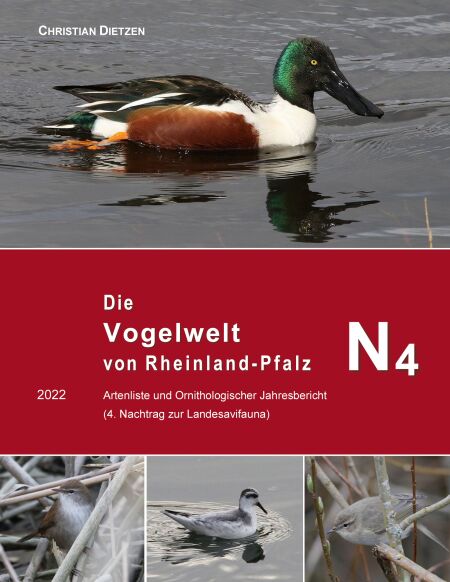 media/pim/18_metadata-image-78721070.jpeg