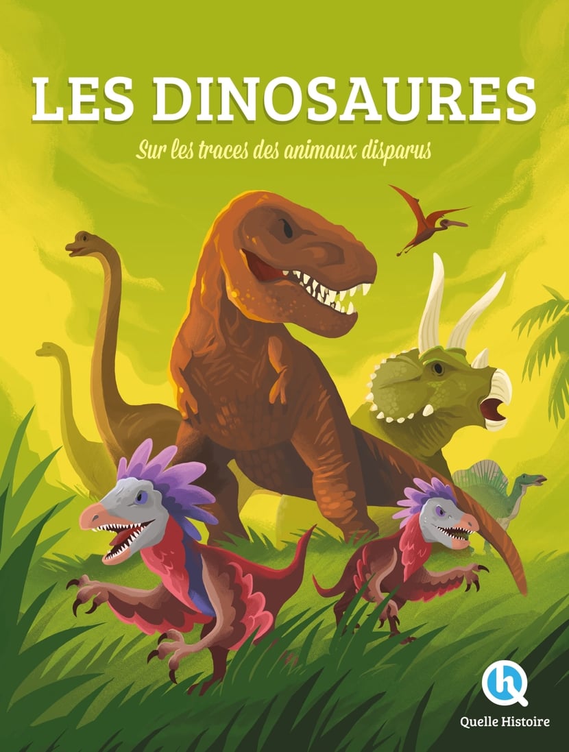 media/pim/1965133_image_type_product_shot_HACHETTE_1_FR_adaad