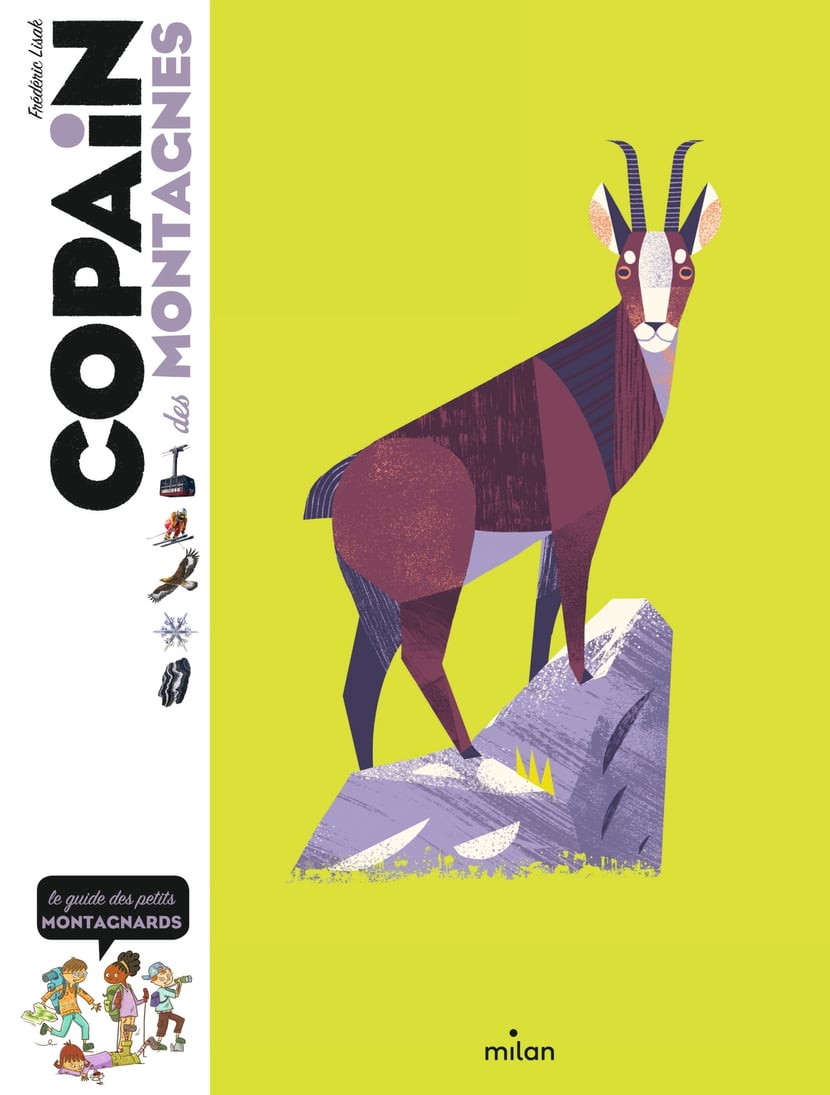 media/pim/1973650_image_type_product_shot_HACHETTE_1_FR_0b3d6