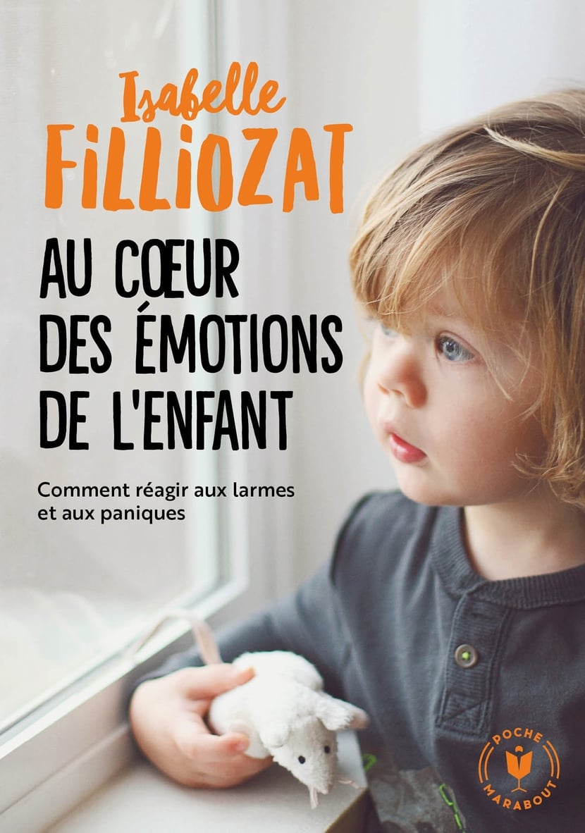 media/pim/1984180_image_type_product_shot_HACHETTE_1_FR_b8416