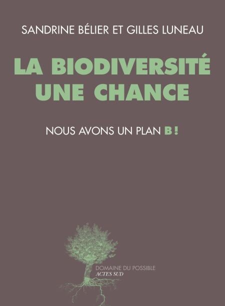 media/pim/19_2dfe5228-ab8c-4ffa-b490-24f6a94b7a22.jpeg