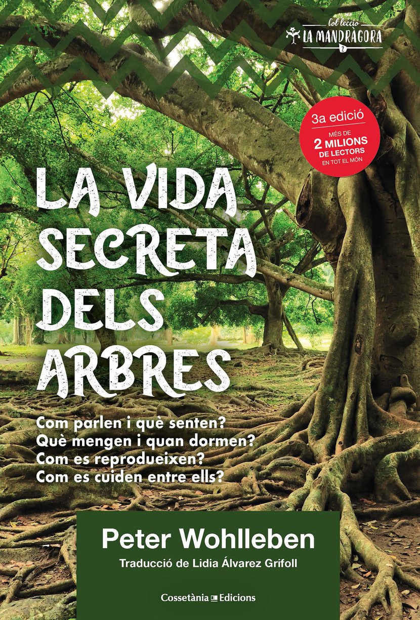 media/pim/19_metadata-image-67234696.jpeg