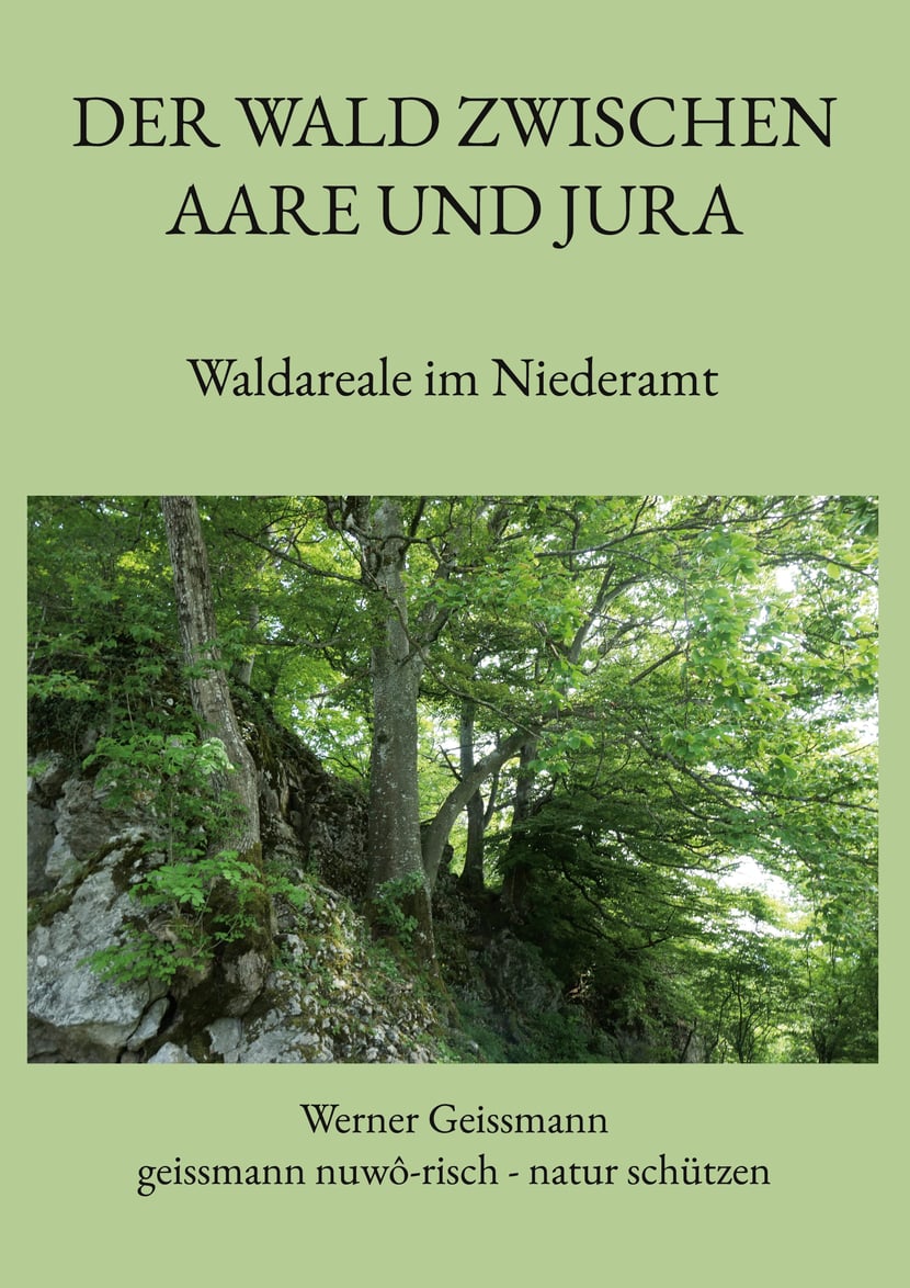 media/pim/19_metadata-image-67338952.jpeg