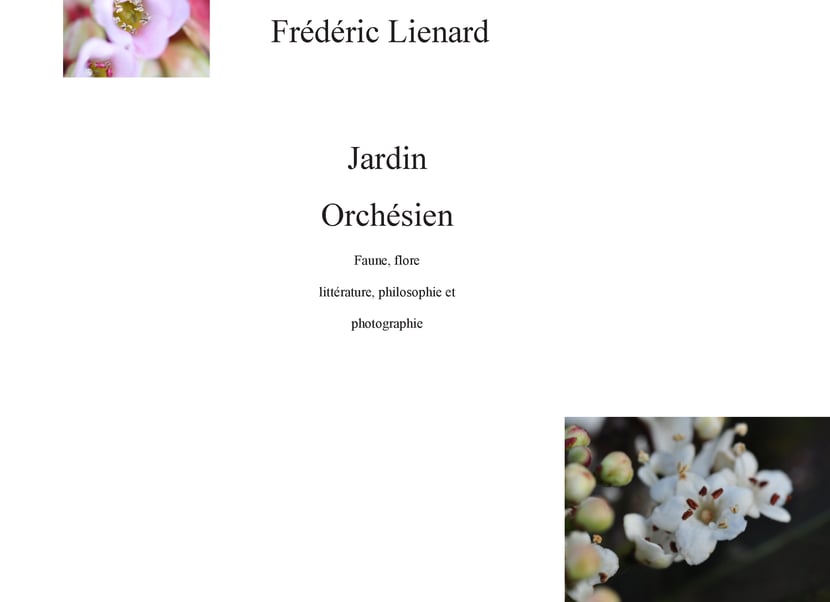 media/pim/19_metadata-image-70908920.jpeg