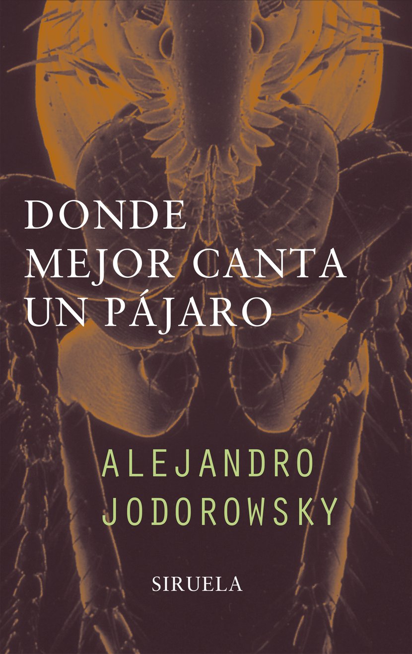 media/pim/19_standalone-image-1675043.jpg