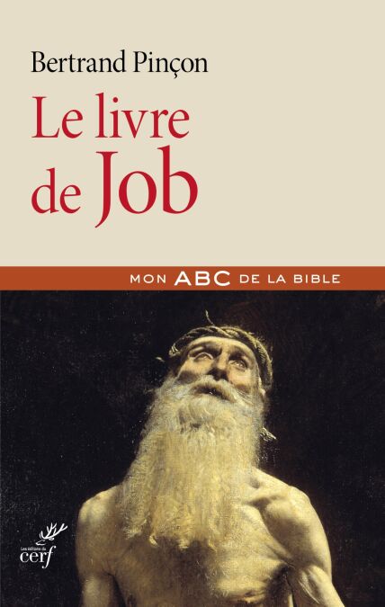 media/pim/1_308be39a-6398-40e3-b95d-661f57630e43.jpeg