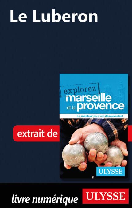 media/pim/1_fd04da87-8ec0-4c16-a047-c0c8f8ca31f7.jpeg