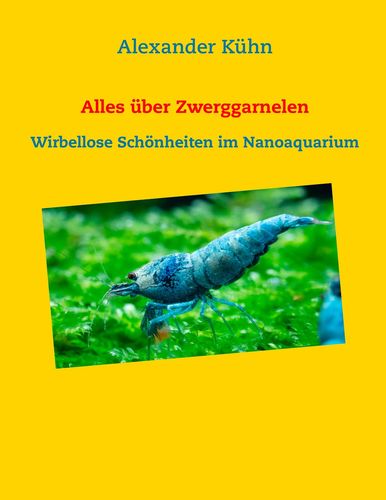 media/pim/1_metadata-image-35358333.jpeg