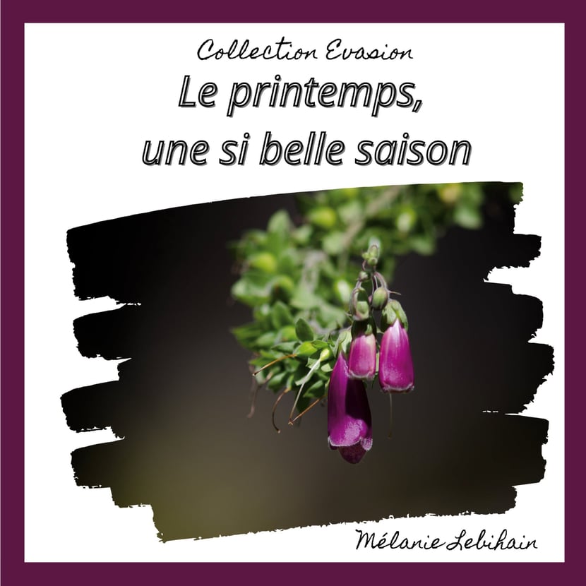 media/pim/1_metadata-image-46823029.jpeg