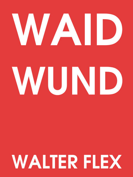 media/pim/1_metadata-image-61580109.jpeg