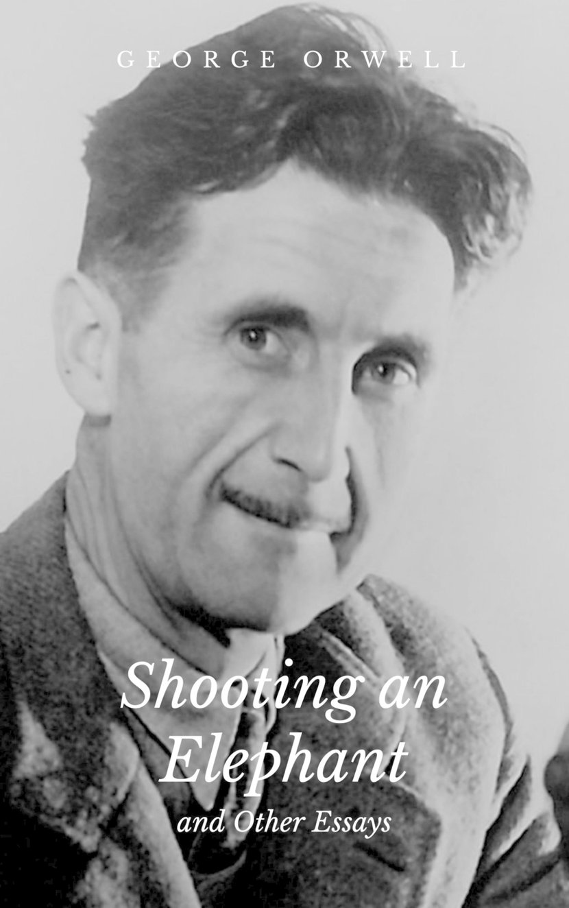 media/pim/1_metadata-image-66600940.jpeg