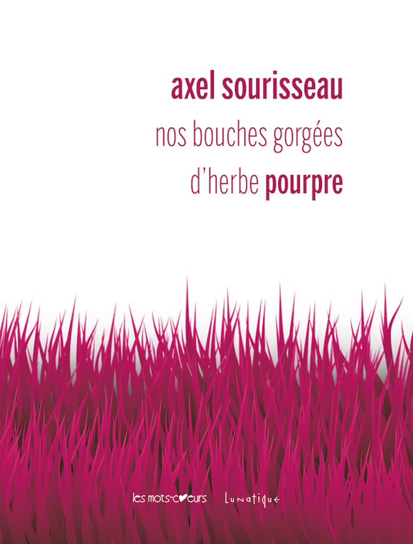 media/pim/1_metadata-image-70505109.png