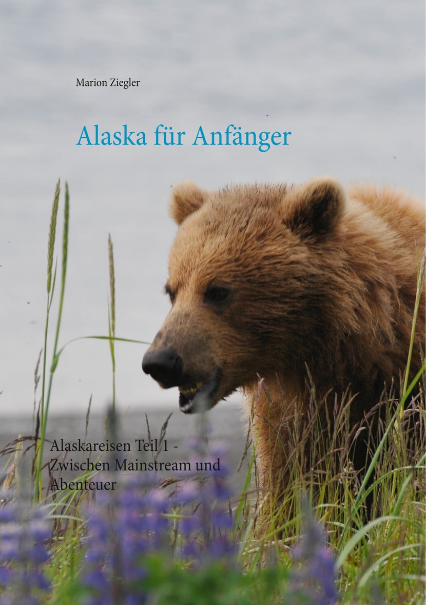 media/pim/1_metadata-image-70982352.jpeg