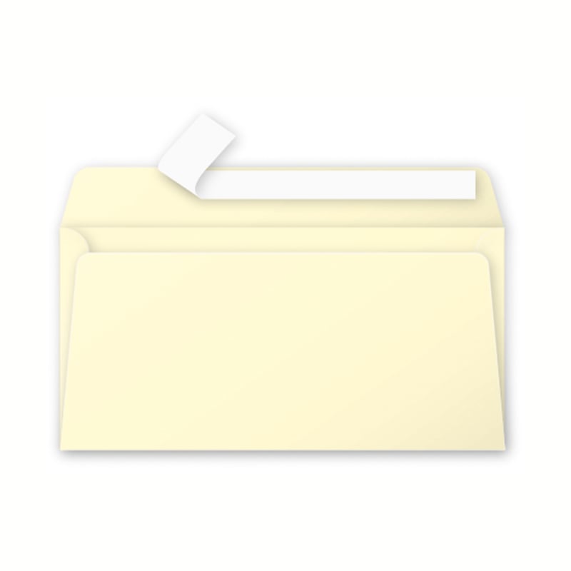media/pim/20-env-110x220-120g-canari-20-env-110x220-120g-canari-3329680545500_0.jpg
