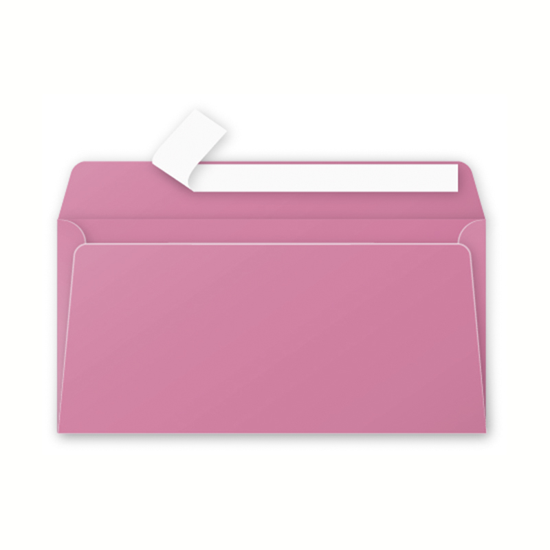 media/pim/20-env-110x220-120g-hortensia-20-env-110x220-120g-hortensia-3329680556551_0.jpg