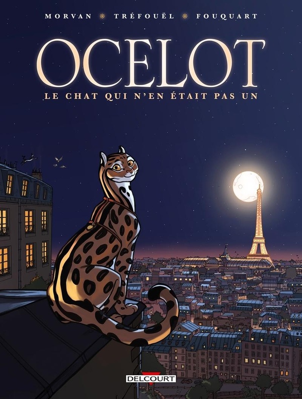 media/pim/2036345_image_type_product_shot_HACHETTE_1_FR