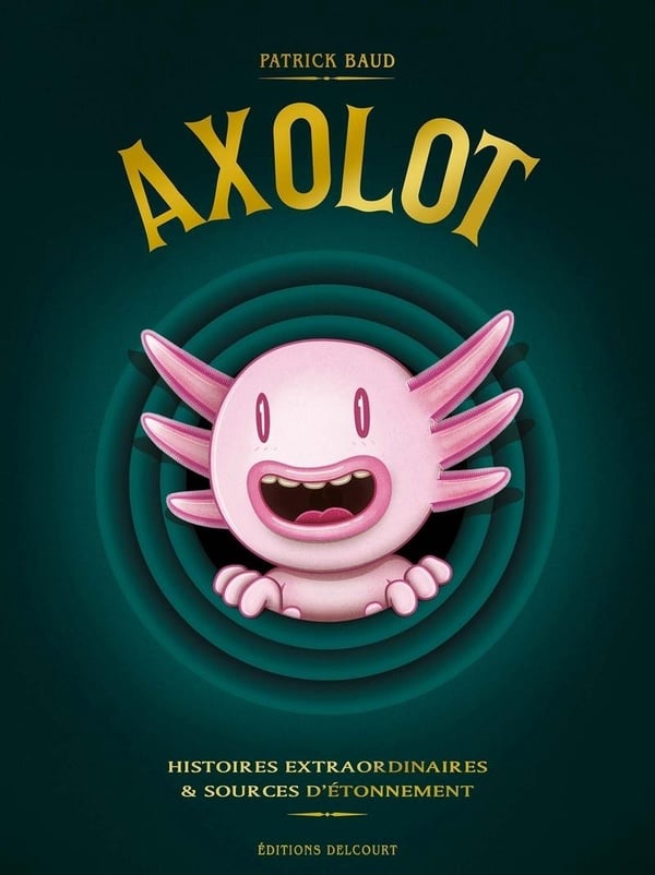 media/pim/2037746_image_type_product_shot_HACHETTE_1_FR
